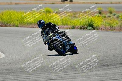 media/May-10-2024-2WTD (Fri) [[c88d7990af]]/Group B/Session 3-Turn 4 and 6/